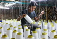 भारत का बड़ा कदम, बांग्लादेश को झटका; ट्रांस-शिपमेंट सुविधा हुई बंद