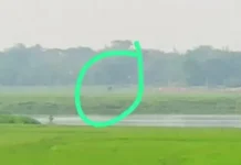 रांची में रास्ता भटका हाथी, रूक्का डैम के पास दिखा