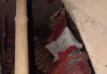 मारदू गांव में बाघ की एंट्री से मचा कोहराम, ग्रामीण की सूझबूझ से टला बड़ा हादसा!