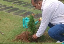 हरित भविष्य के लिए एकजुट हों: विश्व पर्यावरण दिवस