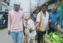 बकरीद से पहले कुर्बानी बाजार में उमड़ी भीड़, लाखों में बिक रहे बकरे