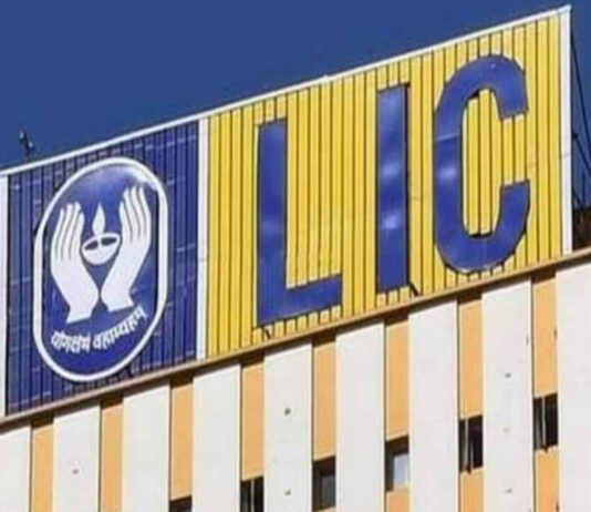 LIC में बिकेगा सरकारी हिस्सा