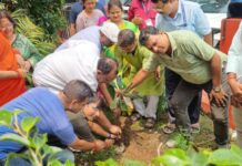 सदर अस्पताल में किया गया पर्यावरण संरक्षण