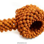 1 लाख 25 हजार रुद्राक्ष से बना 18 फीट ऊंचा शिवलिंग, भक्तों की उमड़ी भीड़