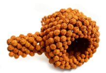 1 लाख 25 हजार रुद्राक्ष से बना 18 फीट ऊंचा शिवलिंग, भक्तों की उमड़ी भीड़