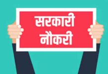 अगले 5 साल में बिहार सरकार देगी 1 करोड़ नौकरियां, नीतीश कैबिनेट ने लगाई मुहर