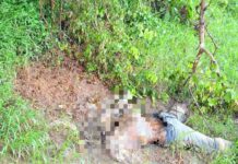 कांची नदी के किनारे मिला अज्ञात शव, सड़ी-गली हालत में बरामद