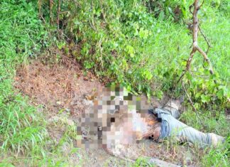 कांची नदी के किनारे मिला अज्ञात शव, सड़ी-गली हालत में बरामद