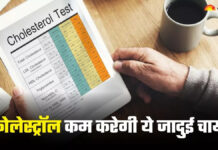 बढ़ गया है Cholesterol? रोज वाली चाय को इस Magical Tea से करें रिप्लेस; शरीर होगा अंदर से साफ