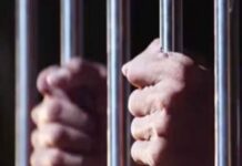 बिहार STF की बड़ी कामयाबी