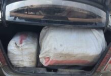 सहरसा जिले में कार से 55 लाख का गांजा हुआ बरामद