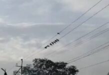 झारखंड में बारिश का अलर्ट, वज्रपात की चेतावनी