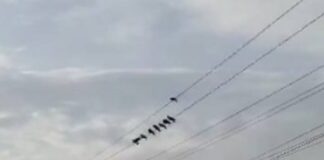 झारखंड में बारिश का अलर्ट, वज्रपात की चेतावनी
