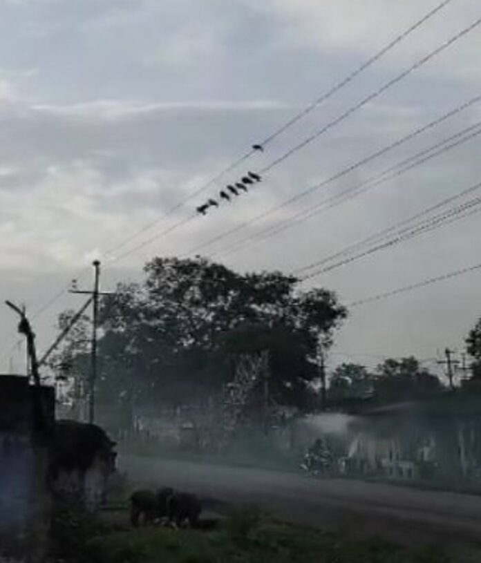 Screenshot_20250828_105847