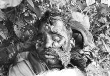 झारखंड के पलामू में हुआ नक्सल ऑपरेशन, इनामी नक्सल ढेर