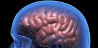 जाने क्या BEFAST टेस्ट हो सकता है ब्रेन स्ट्रोक का खतरा