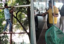 स्ट्रीट डॉग्स की नसबंदी व अवैध होर्डिंग्स पर नगर निगम ने उठाया कदम