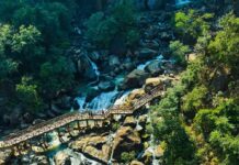 झारखंड की प्रकृति का रंग, छुट्टियों के लिए एक नंबर ऑप्शन