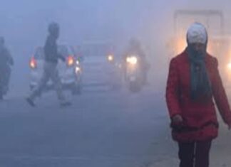 झारखंड में ठंड का कहर, घने कोहरे से जिलों में अलर्ट