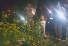 खून से सनी मिली बेगूसराय की सरसों की खेत, बेरहमी से युवक की मौत