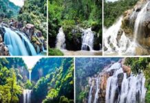 नए साल के पिकनिक को लेकर प्रशासन की व्यवस्था सख्त