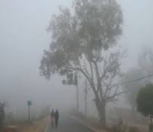 जनवरी में बिहार में रहेगी कड़ाके की ठंड