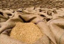 FCI गोदाम राशन घोटाला में 9 हजार क्विंटल पर शिकंजा