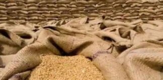 FCI गोदाम राशन घोटाला में 9 हजार क्विंटल पर शिकंजा