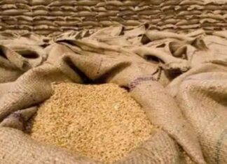 FCI गोदाम राशन घोटाला में 9 हजार क्विंटल पर शिकंजा