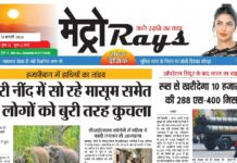 E-paper 13th February 2026 Metro Rays