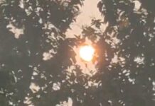 रांची में धूप से राहत, ठंड बरकरार