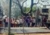 रांची-टाटा मार्ग के तैमारा घाटी में ट्रक में लगी भीषण आग