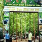 बिरसा चिड़ियाघर में भैंस के मांस की सप्लाई के लिए टेंडर जारी