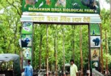 बिरसा चिड़ियाघर में भैंस के मांस की सप्लाई के लिए टेंडर जारी