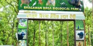 बिरसा चिड़ियाघर में भैंस के मांस की सप्लाई के लिए टेंडर जारी