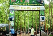 बिरसा जू में भैंस का मीट सप्लाई का टेंडर रद्द