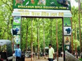 बिरसा जू में भैंस का मीट सप्लाई का टेंडर रद्द