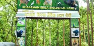 बिरसा जू में भैंस का मीट सप्लाई का टेंडर रद्द