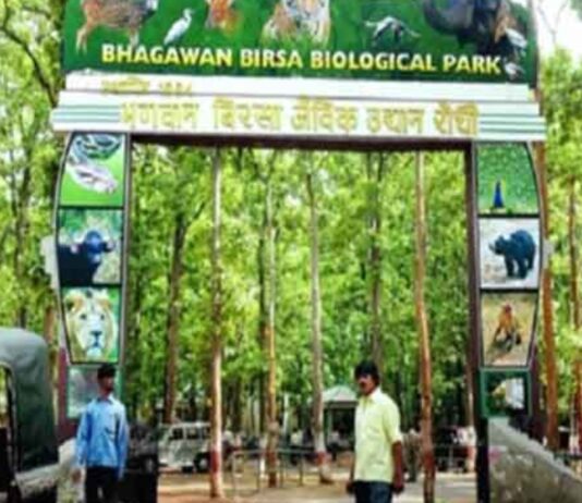 बिरसा जू में भैंस का मीट सप्लाई का टेंडर रद्द