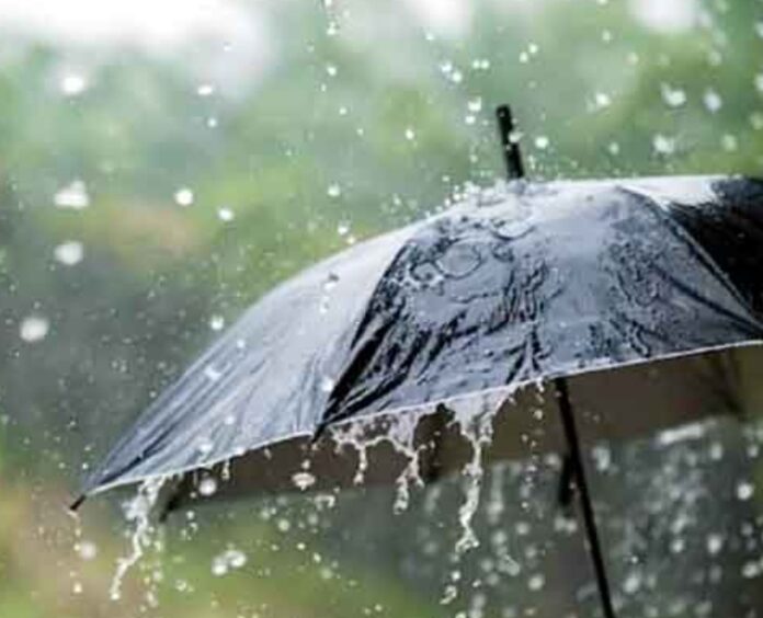 Screenshot_20260331_150254