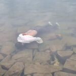 धुर्वा डैम में मिला युवक का शव