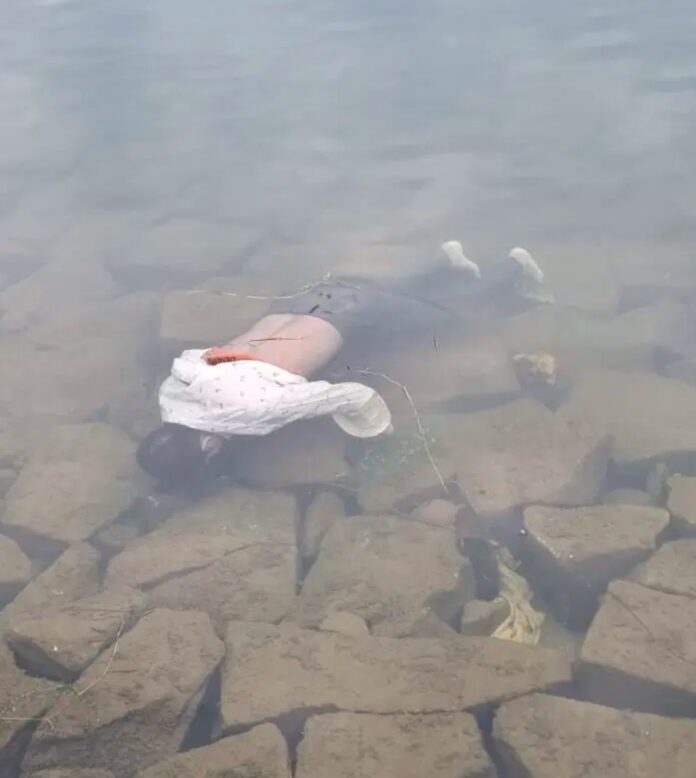 Screenshot_20260406_114016