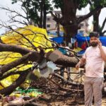 रांची के सतरंजी बाजार में तेज हवा से गिरा पेड़