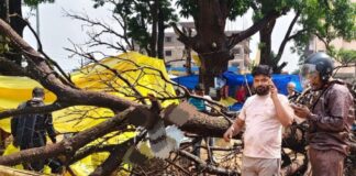 रांची के सतरंजी बाजार में तेज हवा से गिरा पेड़