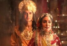 कृष्णावतारम का शानदार कलेक्शन, बॉक्स ऑफिस पर छाए श्रीकृष्ण