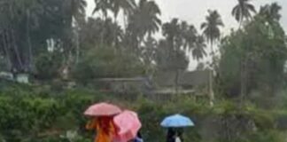 IMD का बड़ा अपडेट: हीटवेव खत्म, मानसून की राह साफ