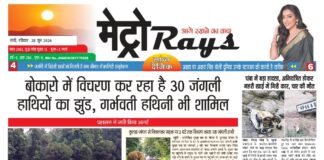 E-paper 28th June 2026 Metro Rays