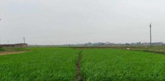 बारिश की कमी से सूखे खेत, परेशान किसान