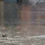 रांची में बारिश का कहर, सड़कों पर जलजमाव ने बढ़ाई परेशानी