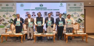 झारखंड में कार्बन ट्रेडिंग से जुड़ेगा ग्रामीण समुदाय, पेड़ लगाकर कमाई करेंगे किसान